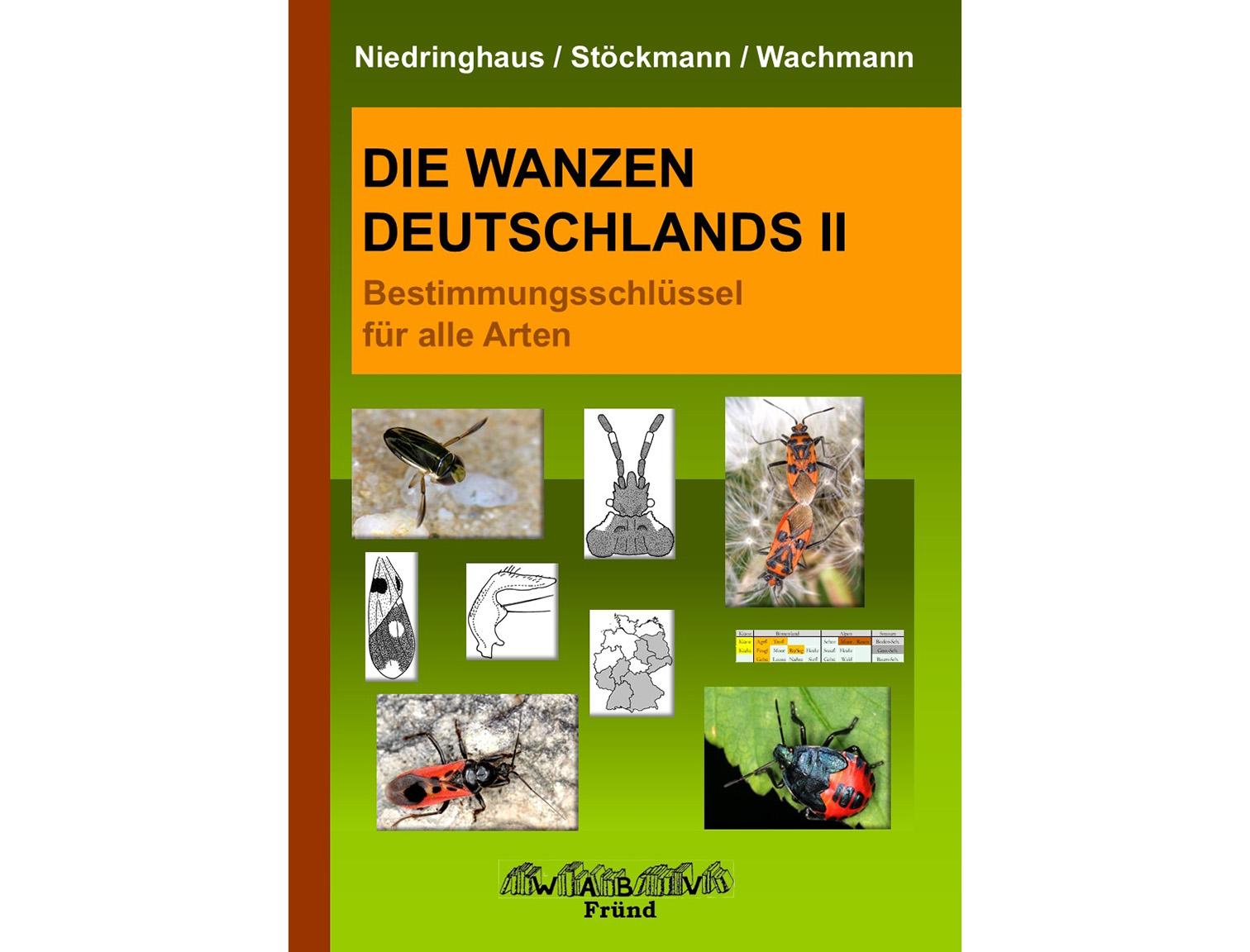 wanzen teil2